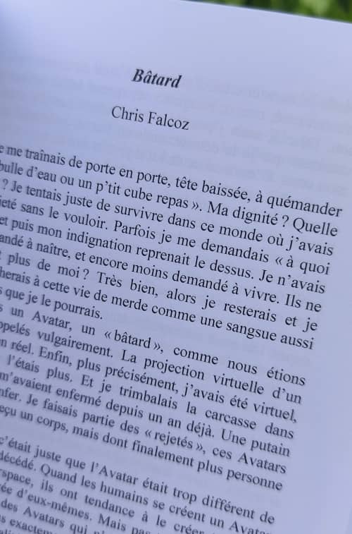 Page de l'ouvrage ou débute mon texte.