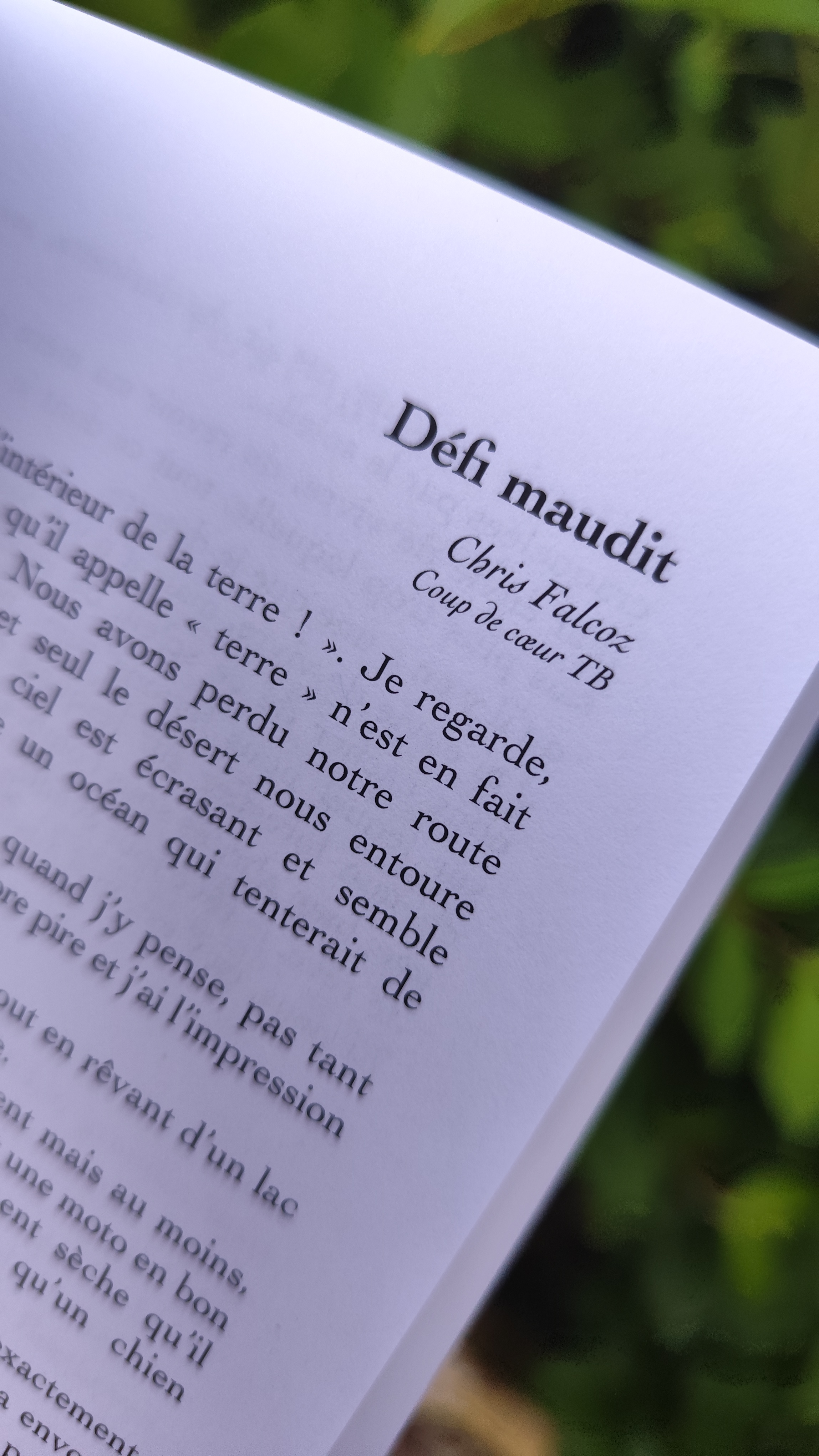 Page de l'ouvrage où se trouve mon texte