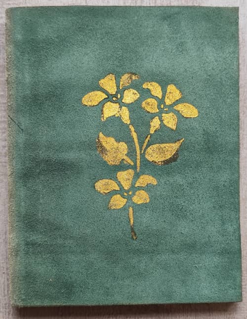Photo du livre couverture cuir