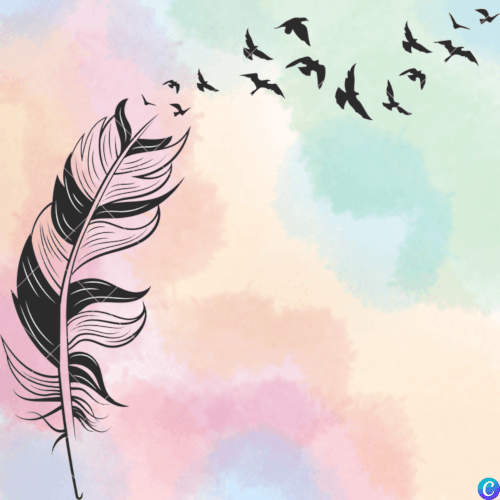 Image représentant une plume sous forme d'ombre qui se transforme en oiseaux, sur un fond coloré