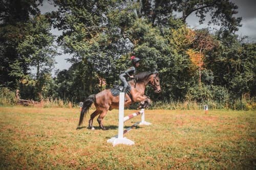 Photo d'un cheval sautant un obstacle
