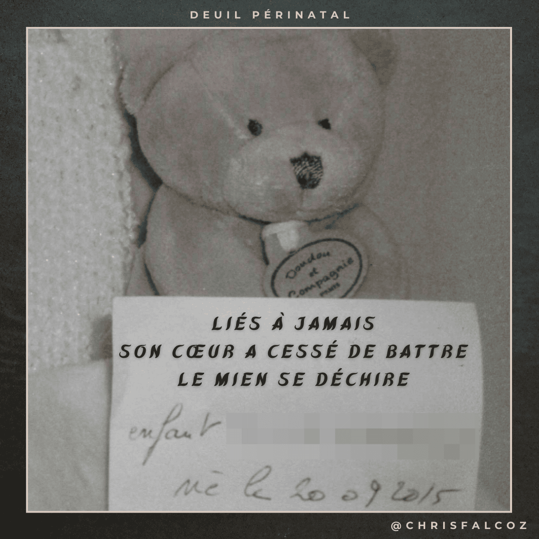 Photo d'une peluche avec un papier indiquant le jour de naissance