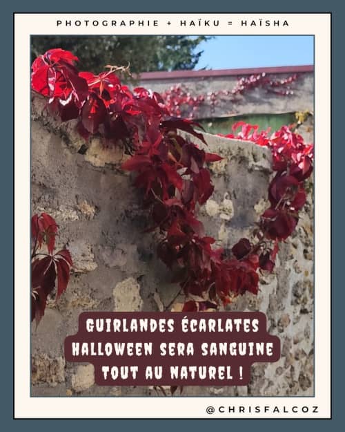Photo d'une guirlande naturelle de feuilles rouges sur un mur
