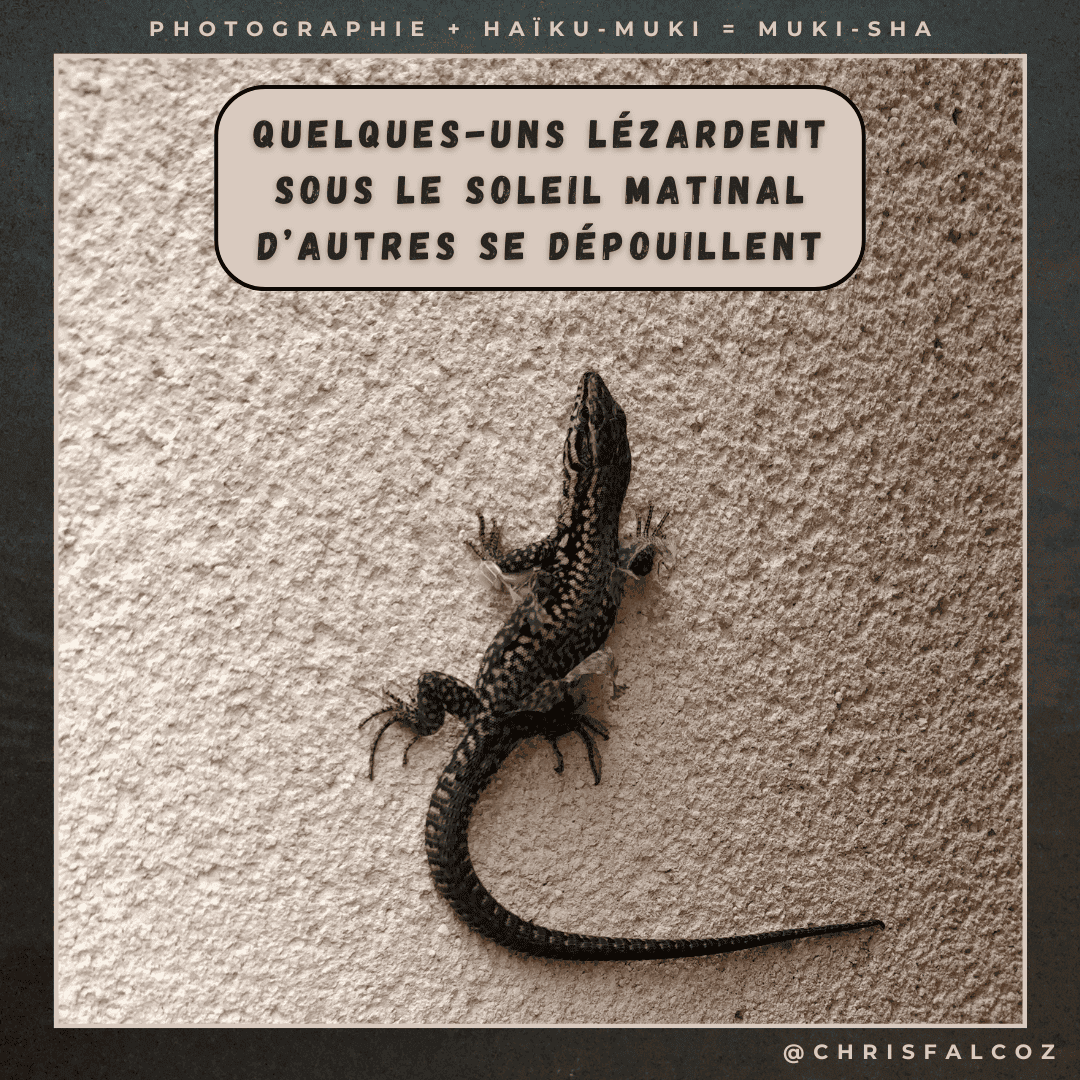 Photo d'un lézard en train de muer sur un mur