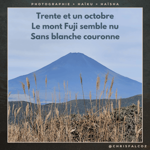 Photo du mont Fuji sans neige à son sommet