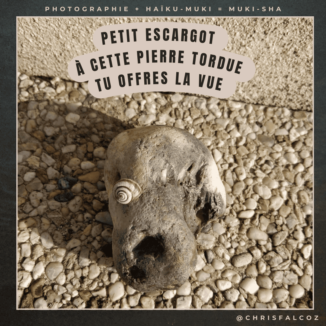 Photo d'une pierre tordue avec un escargot posé dessus, donnant l'impression de voir une tête de chien