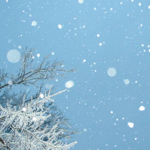 Photo de la neige qui tombe vu du dessous