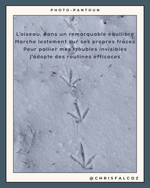 Photo de traces de pattes d'oiseau, sur une seule ligne, dans la neige