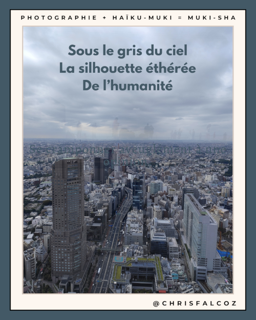 Photo de Tokyo vu de haut, avec au fond entre les ciels et les immeubles, les silhouettes d'humains (car photo prise à travers une vitre)